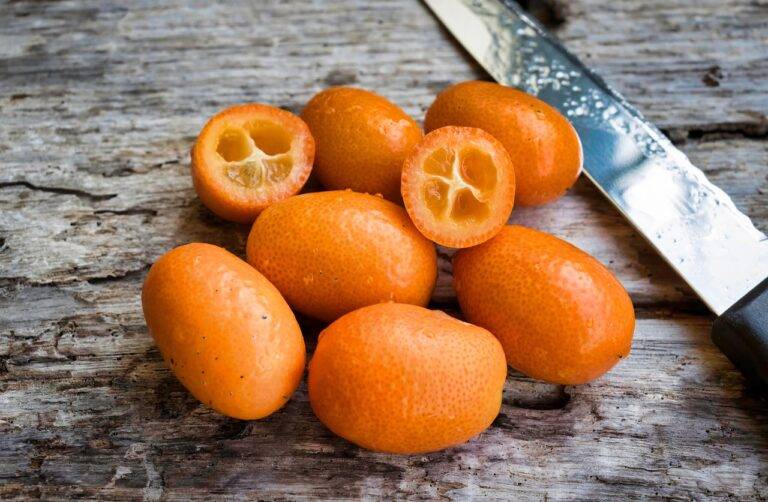 Understanding the Art of Food Plating
