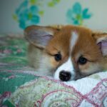 Reddybook Review: How This All‑In‑One Platform Boosts Small Business Management