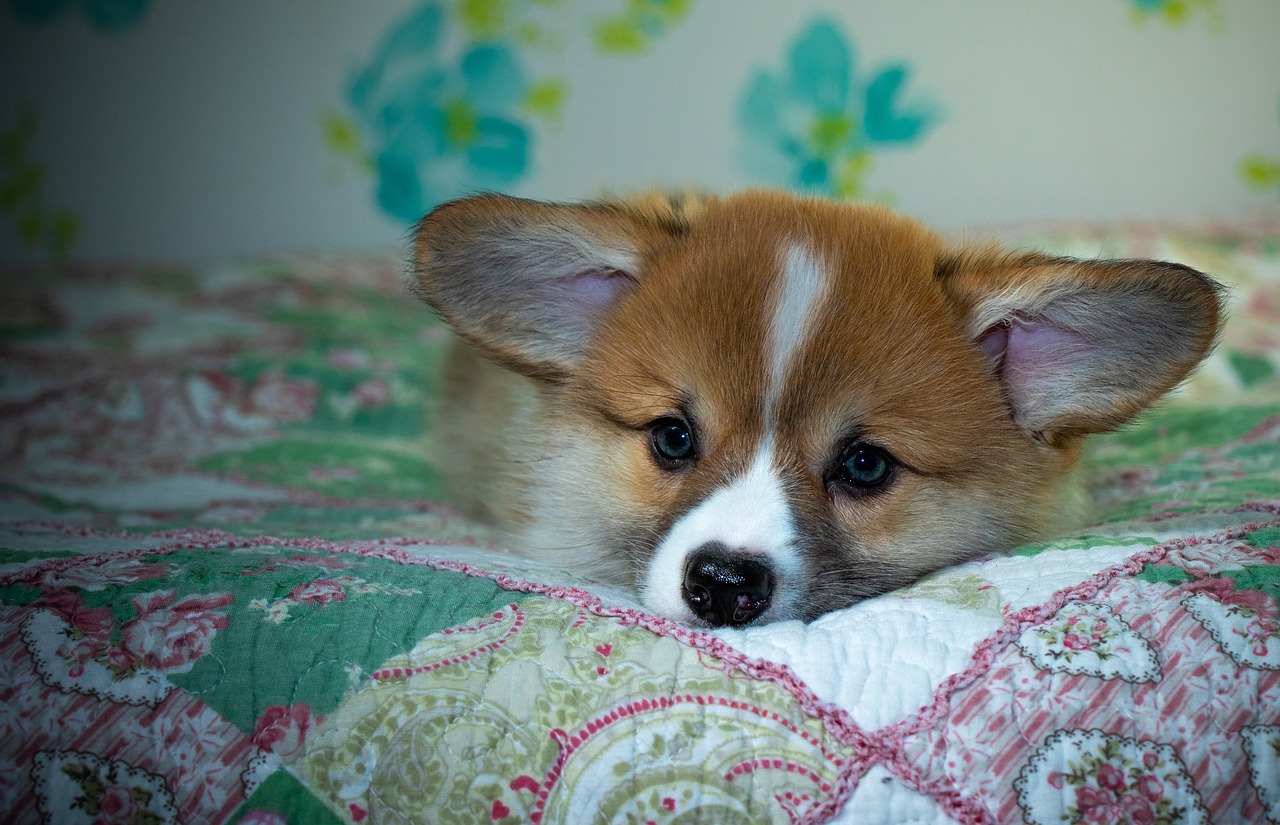 Reddybook Review: How This All‑In‑One Platform Boosts Small Business Management